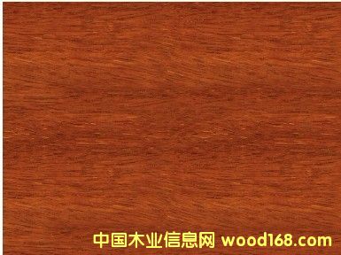 ����(y��ng)�y��ľ������y��ľ����(b��o)�r(ji��)���Ϻ��S(ch��ng)���y��ľֱ�N(xi��o)��Ԕ��(x��)��B