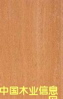 �S(ch��ng)�ҟ��N(xi��o)ɳ������� ɳ���� ɳ�����S(ch��ng)�ҵ�Ԕ��(x��)��B