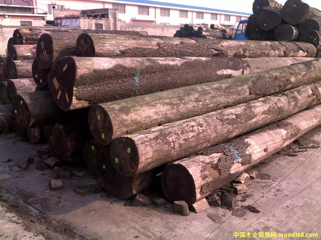 �؎X����ľԭľ��Ԕ����B