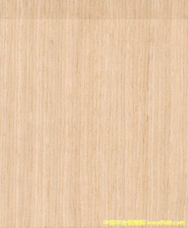 �c���鿴�Ƽ�ľ����ľ�Ŵ�DƬ