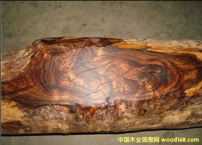 ��z�S����