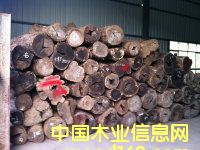 ΢���S̴���xԭľ