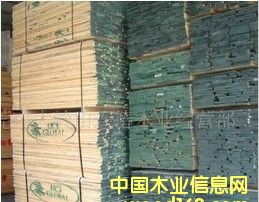 ���������Ԕ��(x��)��B