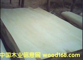 Ư�ח�ľ��Ƥ��Ԕ����B