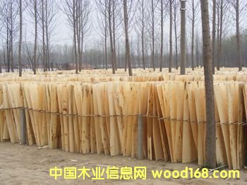 1.3�׊A��Ƥ��Ԕ����B