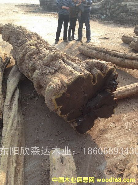 �Ϲ�̴(��̴����ľ,�|�Ǻ��S̴)130120-3