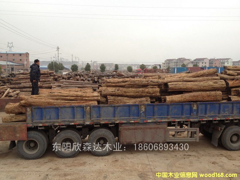 �Ϲ�̴(��̴����ľ,�|�Ǻ��S̴)130120-11