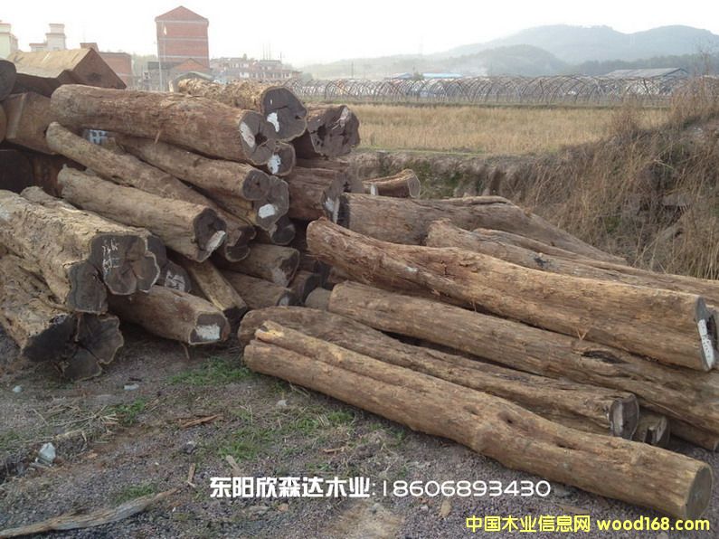 �Ϲ�̴(�|�Ǻ��S̴,��ľ,��̴)130226-2