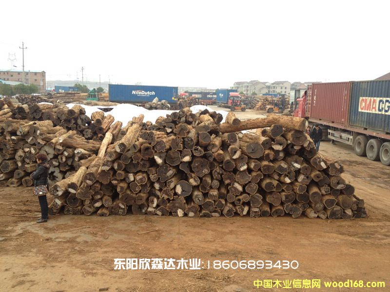 �Ϲ�̴(�|�Ǻ��S̴,��ľ,��̴)130226-5