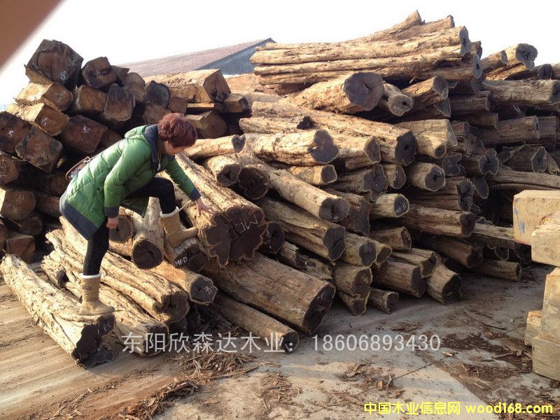 �Ϲ�̴(��̴����ľ,�|�Ǻ��S̴)130120-19