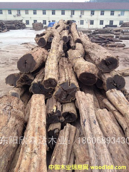 �Ϲ�̴(��̴����ľ,�|�Ǻ��S̴)130120-12