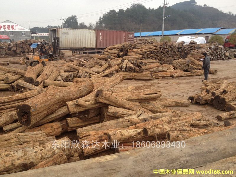 �Ϲ�̴(��̴����ľ,�|�Ǻ��S̴)130120-6