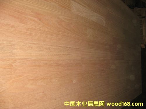 �t��ľָ�Ӱ�