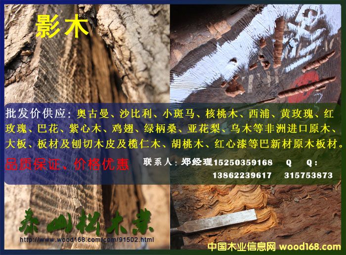 Ӱľ��Ԕ��(x��)��B