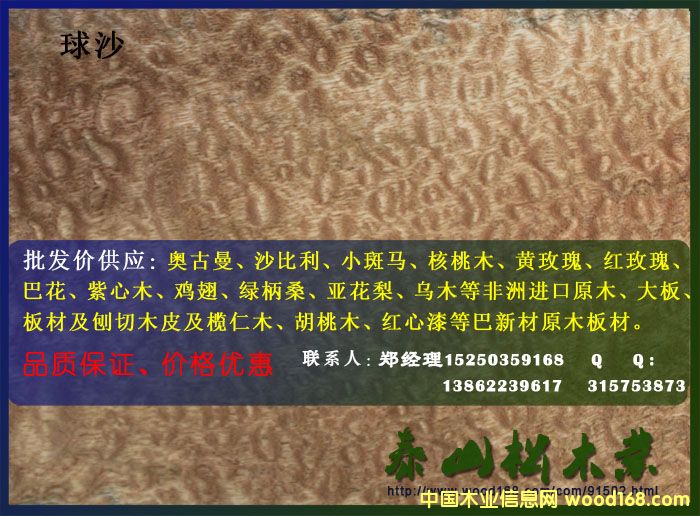 ��ɳľƤ��Ԕ��(x��)��B