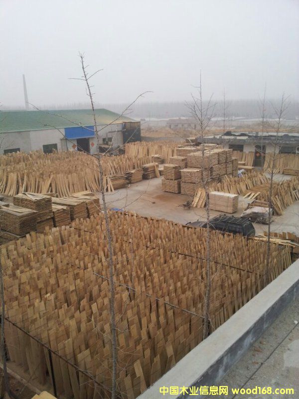 �M(j��n)�ښW����������вĵذ�����Ԕ��(x��)��B