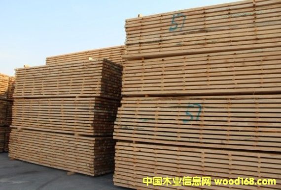 ݗ���ɟo��(ji��)��ɰ��2��Ԕ��(x��)��B