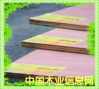 �M��о���Ӱ�