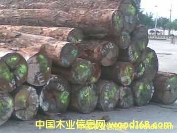 ������֦��Ԕ��(x��)��B