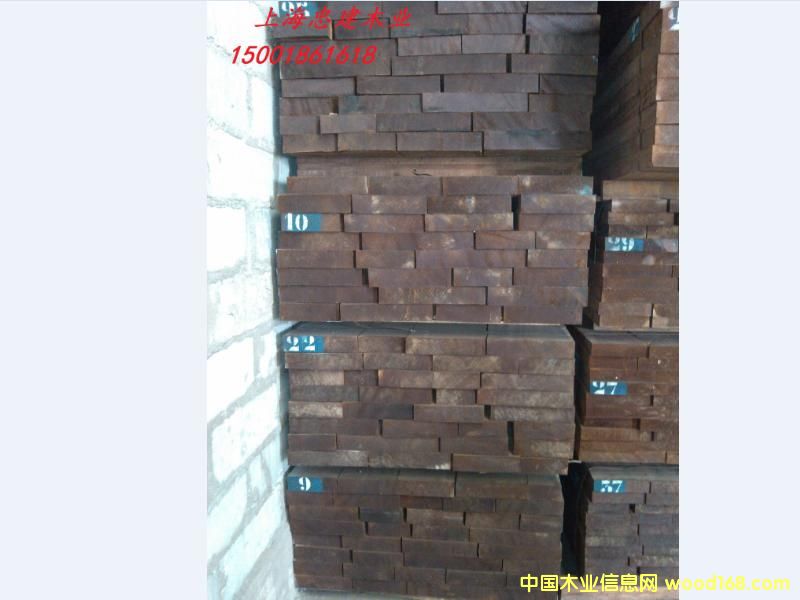 �M�ں��CTSB��ɳ����