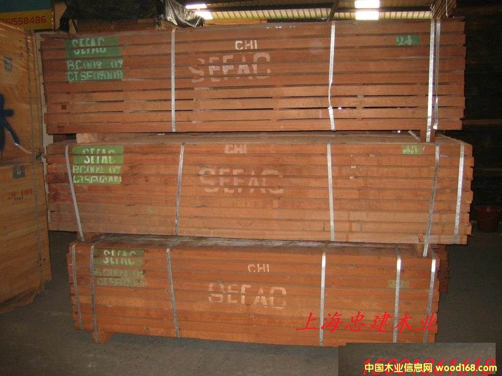 �M(j��n)�ں��SEFAC��ɳ����