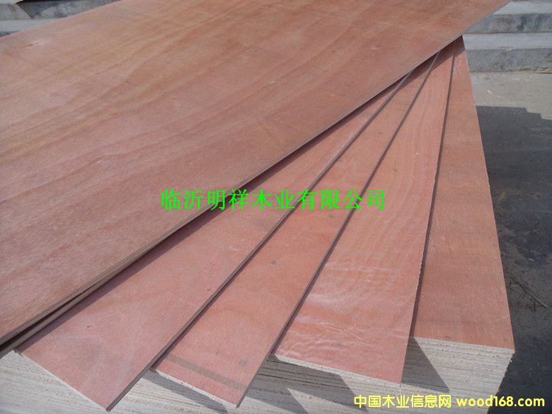 5����b���Ԕ��(x��)��B