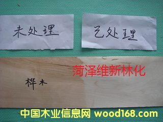 ��ľľƤƯ�ׄ�