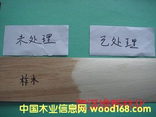 ��ľľƤƯ�ׄ�