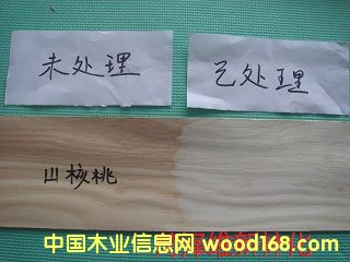 ɽ����ľƤƯ�ׄ�