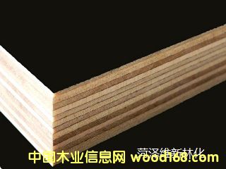 ﻿﻿����ģ�������