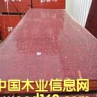 �ߌӽ���ģ�� ���z���Ԕ����B