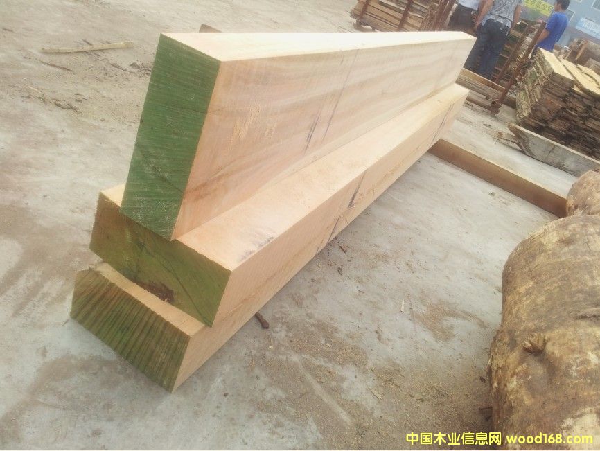 �������ȼ���ľ��Ԕ����B