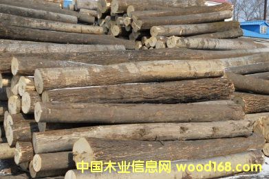 ���ԭľ��Ԕ��(x��)��B