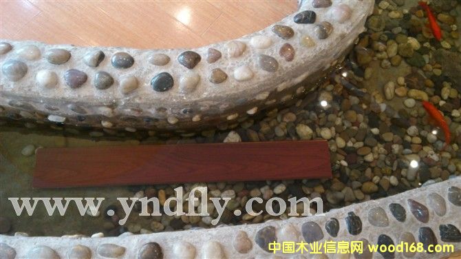 �°l(f��)�GԴ �h(hu��n)���ذ��Ԕ��(x��)��B