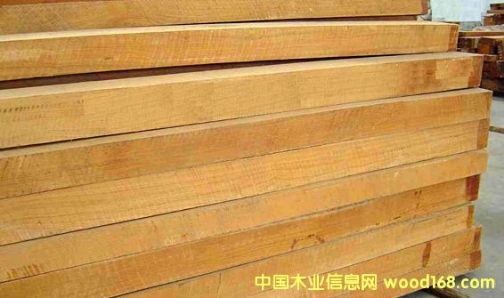 �c���鿴��ľ�Ŵ�DƬ