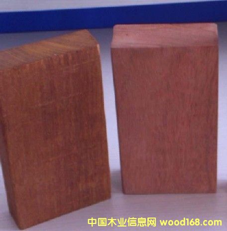 �c���鿴����ľ�Ŵ�DƬ