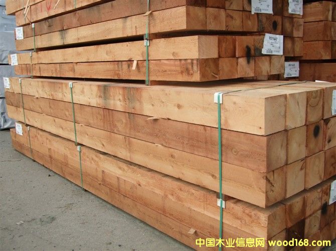 �c���鿴���ô�tѩ�ɷŴ�DƬ