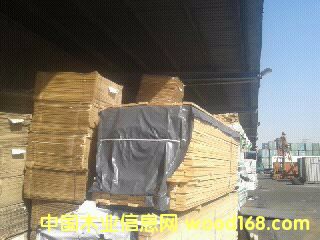 [��] �ľ���