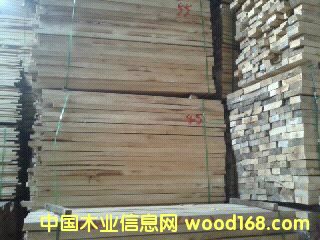 [��] �M(j��n)�ں�ɘ�ľ