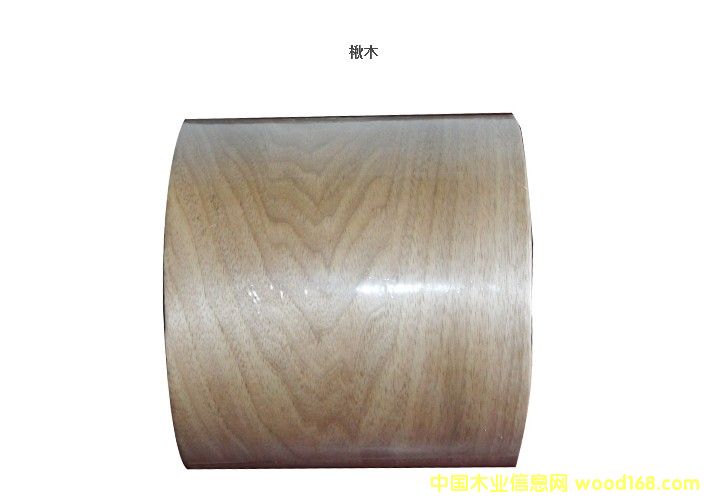 �ľ��Ԕ��(x��)��B