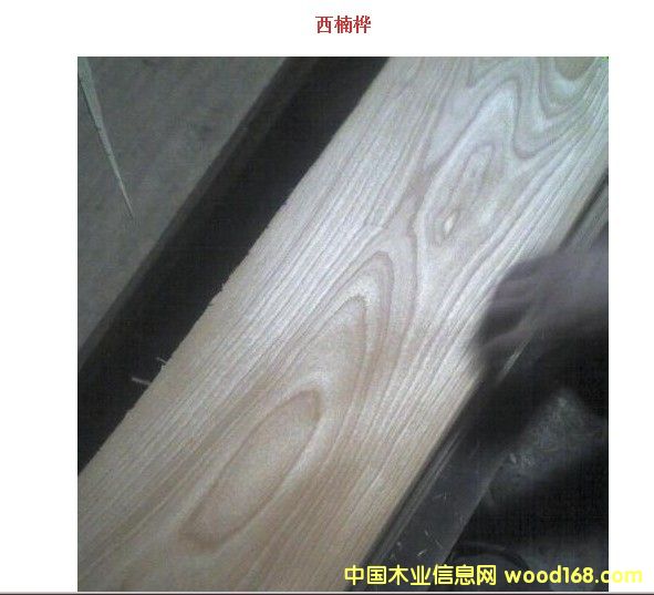 ���Ϙ��Ԕ��(x��)��B