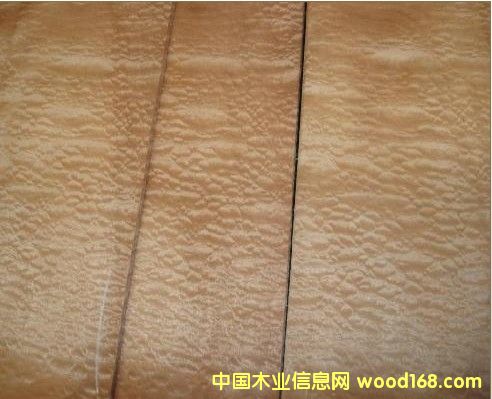 ����ɳ������Ԕ��(x��)��B