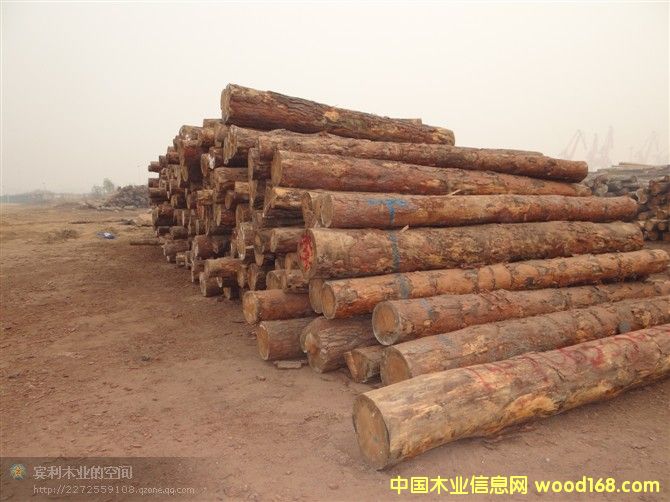 �����ɵ�Ԕ����B