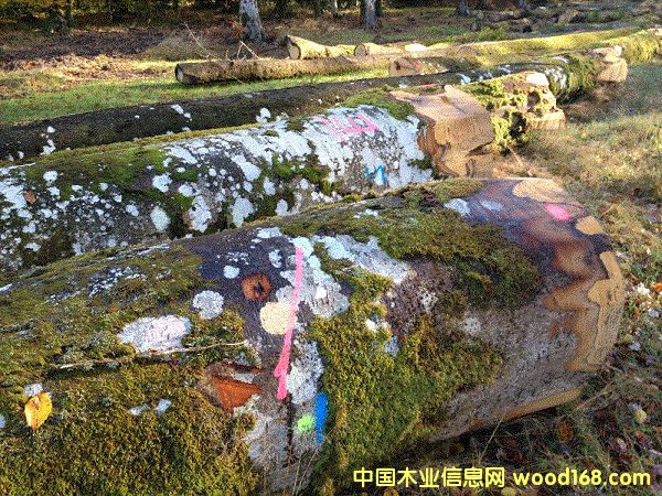 ����ľ��Ԕ��(x��)��B