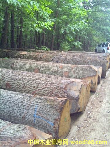 ��ľԭľ��Ԕ����B