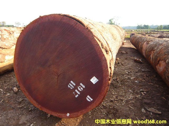 ɳ������Ԕ��(x��)��B