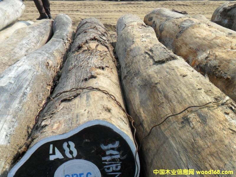 �������u���Ԕ��(x��)��B