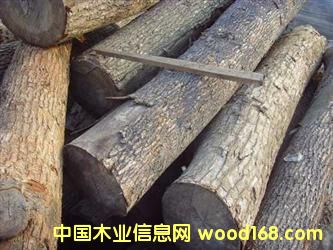 ̩�����zľ�M(j��n)�ڴ���-�������zľ�M(j��n)�ڈ��P(gu��n)��˾