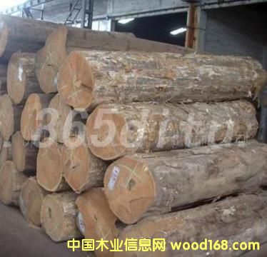 �tõ���M�ڈ��P|�tõ���M������|�tõ���M���M��