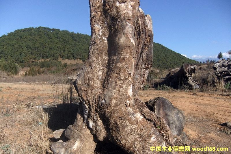 �ľ��Ԕ��(x��)��B